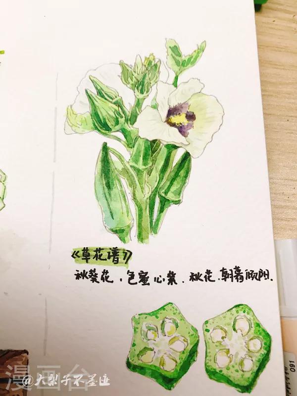 《女磨王日记》漫画最新章节美食篇免费下拉式在线观看章节第【3】张图片