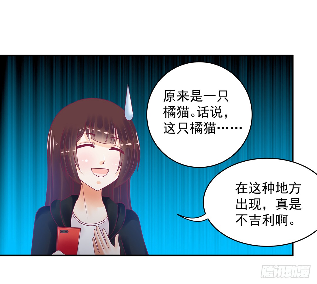 《女王驾到》漫画最新章节神秘的黑影……免费下拉式在线观看章节第【17】张图片