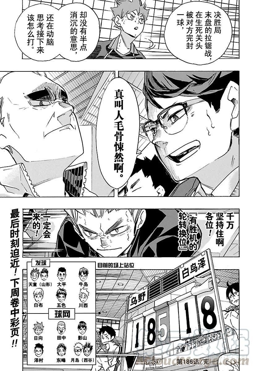 《排球少年！！》漫画最新章节第186话 排球狂人们免费下拉式在线观看章节第【19】张图片