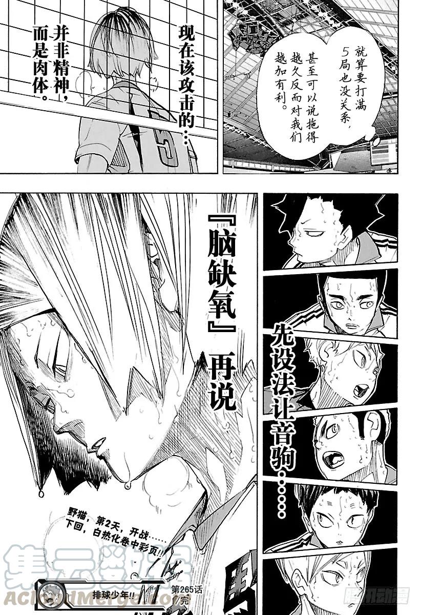 《排球少年！！》漫画最新章节第265话 与此同时那只没精神的免费下拉式在线观看章节第【19】张图片