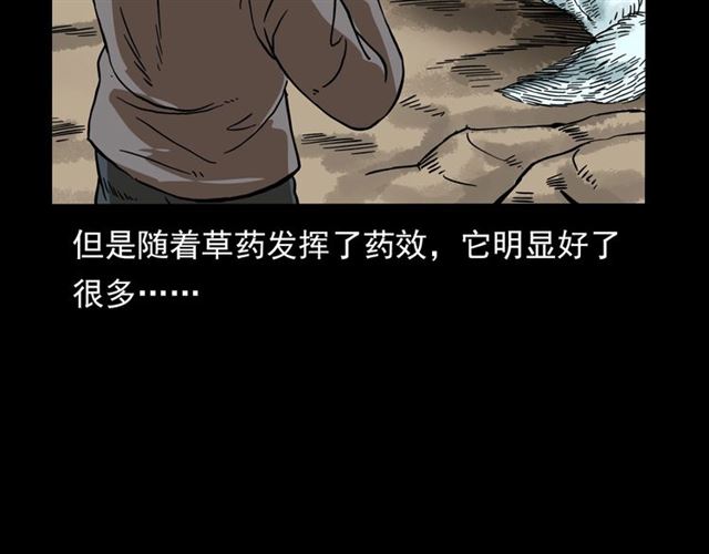 《枪爷异闻录》漫画最新章节第113话 猎狐人！免费下拉式在线观看章节第【69】张图片