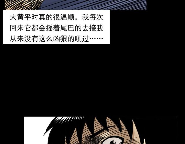 《枪爷异闻录》漫画最新章节第125话 黄狗！免费下拉式在线观看章节第【63】张图片