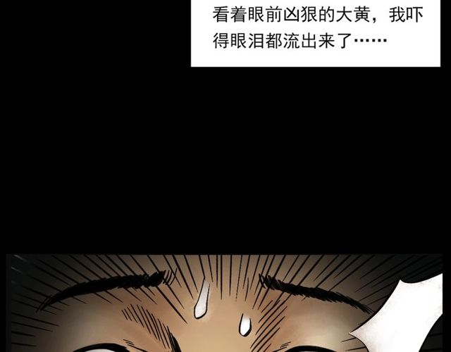 《枪爷异闻录》漫画最新章节第125话 黄狗！免费下拉式在线观看章节第【77】张图片