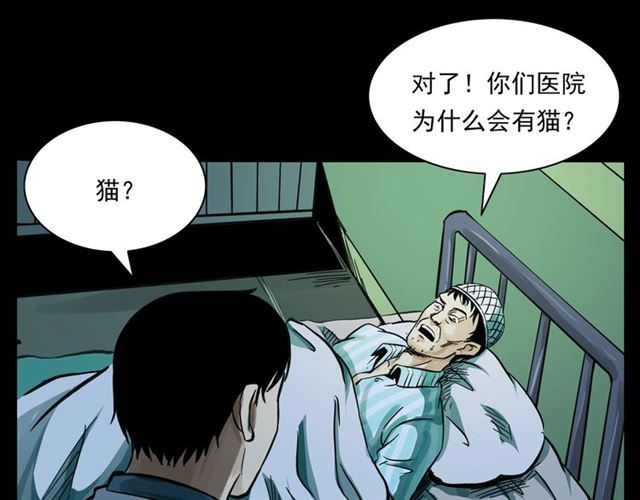 【枪爷异闻录】漫画-（第159话  医院里的黑猫）章节漫画下拉式图片-47.jpg