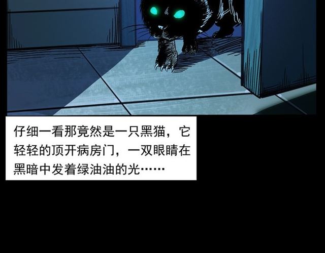 【枪爷异闻录】漫画-（第159话  医院里的黑猫）章节漫画下拉式图片-54.jpg