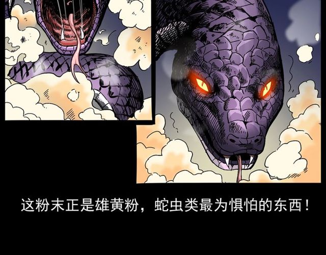 《枪爷异闻录》漫画最新章节第168话  阎老九之活死人墓免费下拉式在线观看章节第【76】张图片