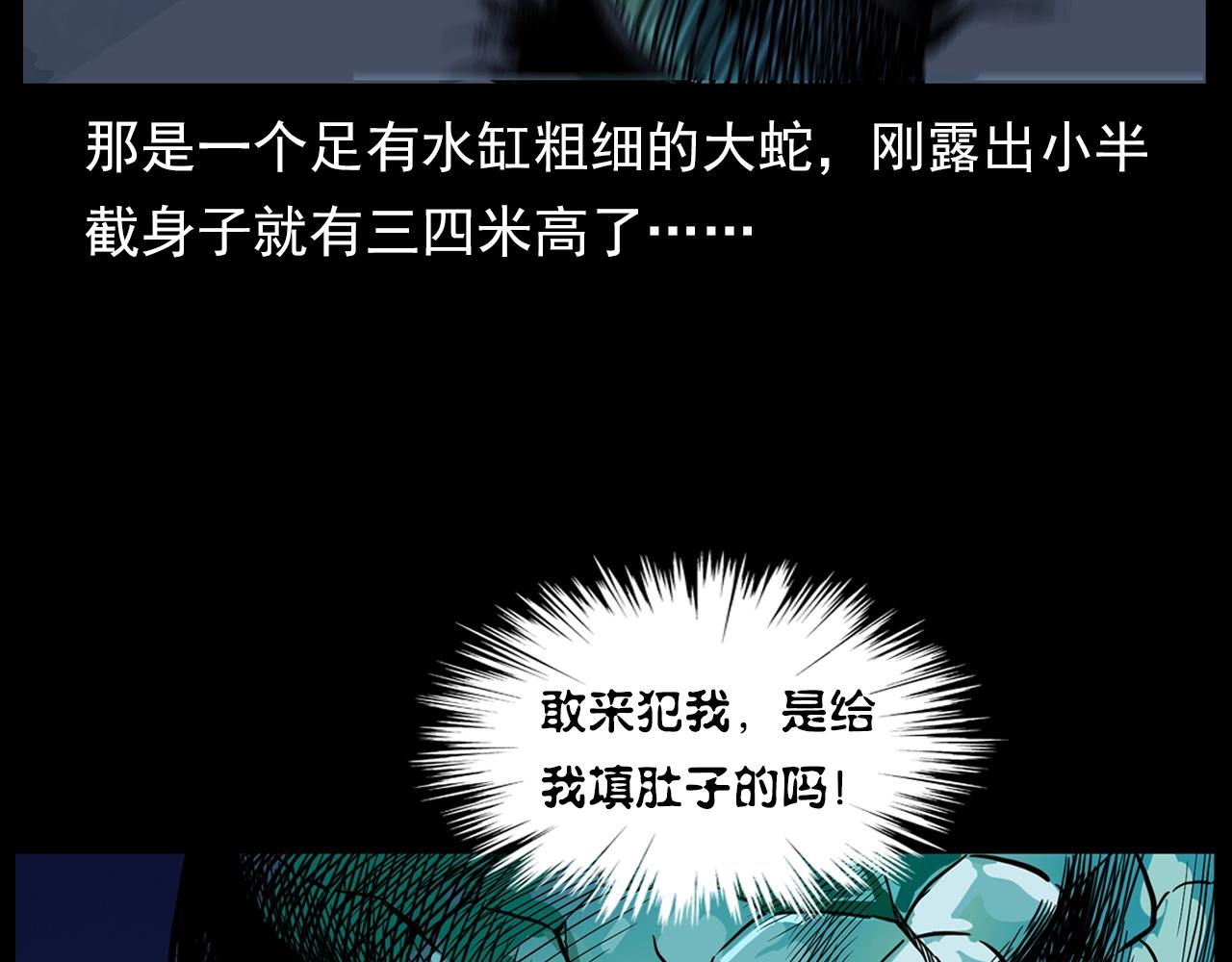 《枪爷异闻录》漫画最新章节第192话  阎老九之守墓妖免费下拉式在线观看章节第【101】张图片