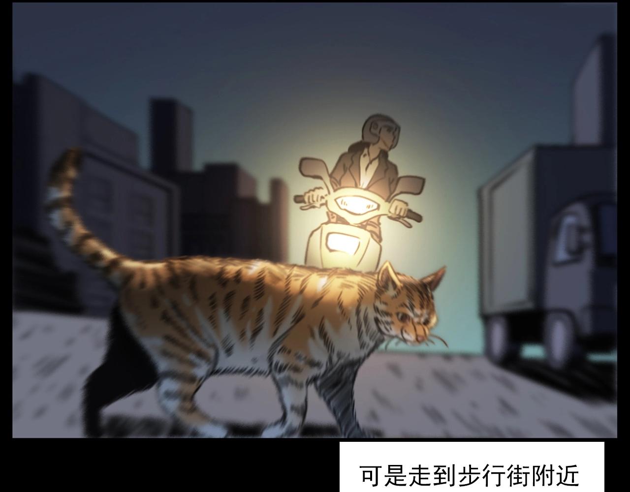 《枪爷异闻录》漫画最新章节第241话 梳头免费下拉式在线观看章节第【80】张图片