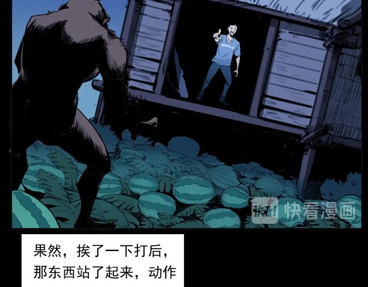 《枪爷异闻录》漫画最新章节第279话 看瓜免费下拉式在线观看章节第【27】张图片