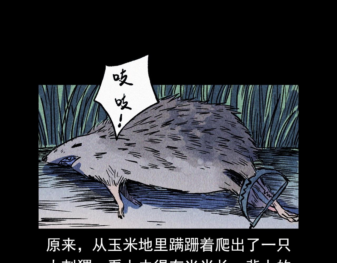 【枪爷异闻录】漫画-（第334话 白仙医）章节漫画下拉式图片-80.jpg