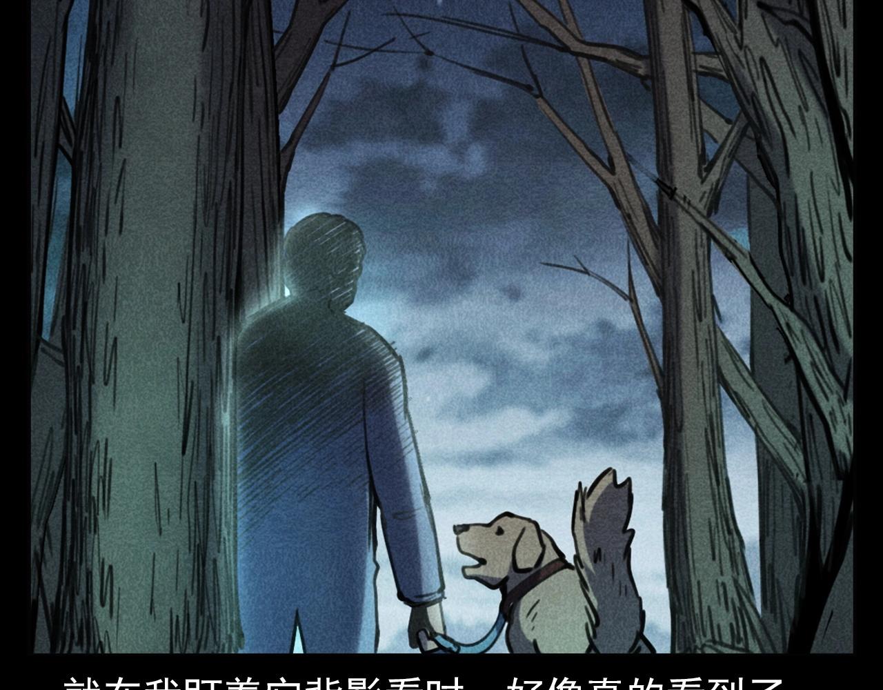 《枪爷异闻录》漫画最新章节第352话 流浪狗免费下拉式在线观看章节第【77】张图片