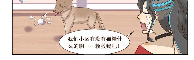 《千精百怪》漫画最新章节第170话 猫界时尚大师免费下拉式在线观看章节第【11】张图片