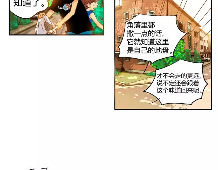 《潜水日志》漫画最新章节第19话免费下拉式在线观看章节第【50】张图片