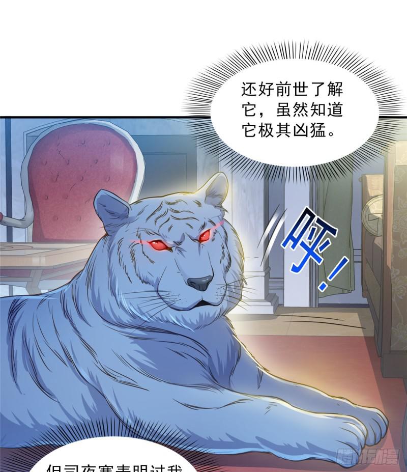 《恰似寒光遇骄阳》漫画最新章节第四十七话 不是给我的？免费下拉式在线观看章节第【36】张图片