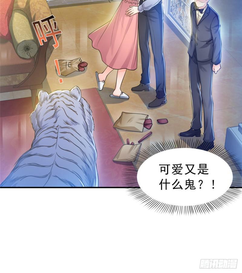 《恰似寒光遇骄阳》漫画最新章节第四十七话 不是给我的？免费下拉式在线观看章节第【46】张图片