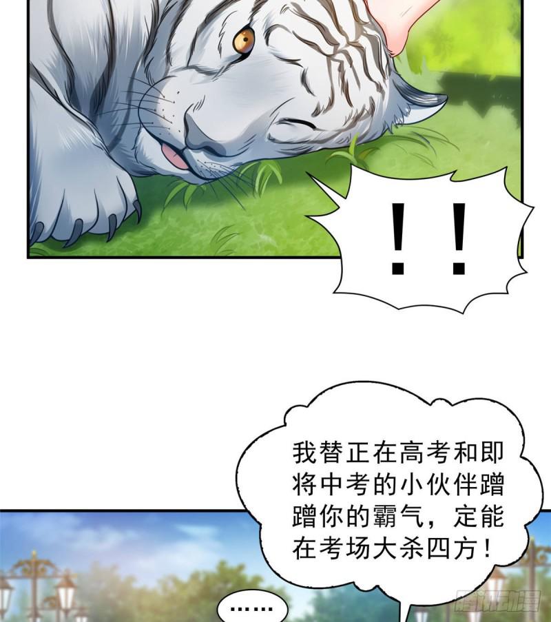 《恰似寒光遇骄阳》漫画最新章节第七十三话 真相大白免费下拉式在线观看章节第【48】张图片