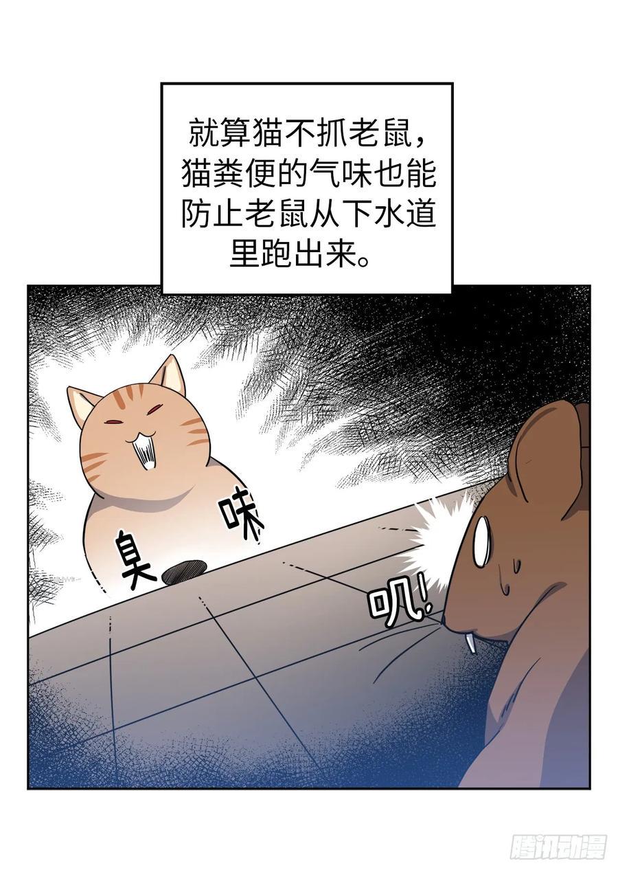 《琪拉的美男图鉴》漫画最新章节91.第二季开篇免费下拉式在线观看章节第【15】张图片