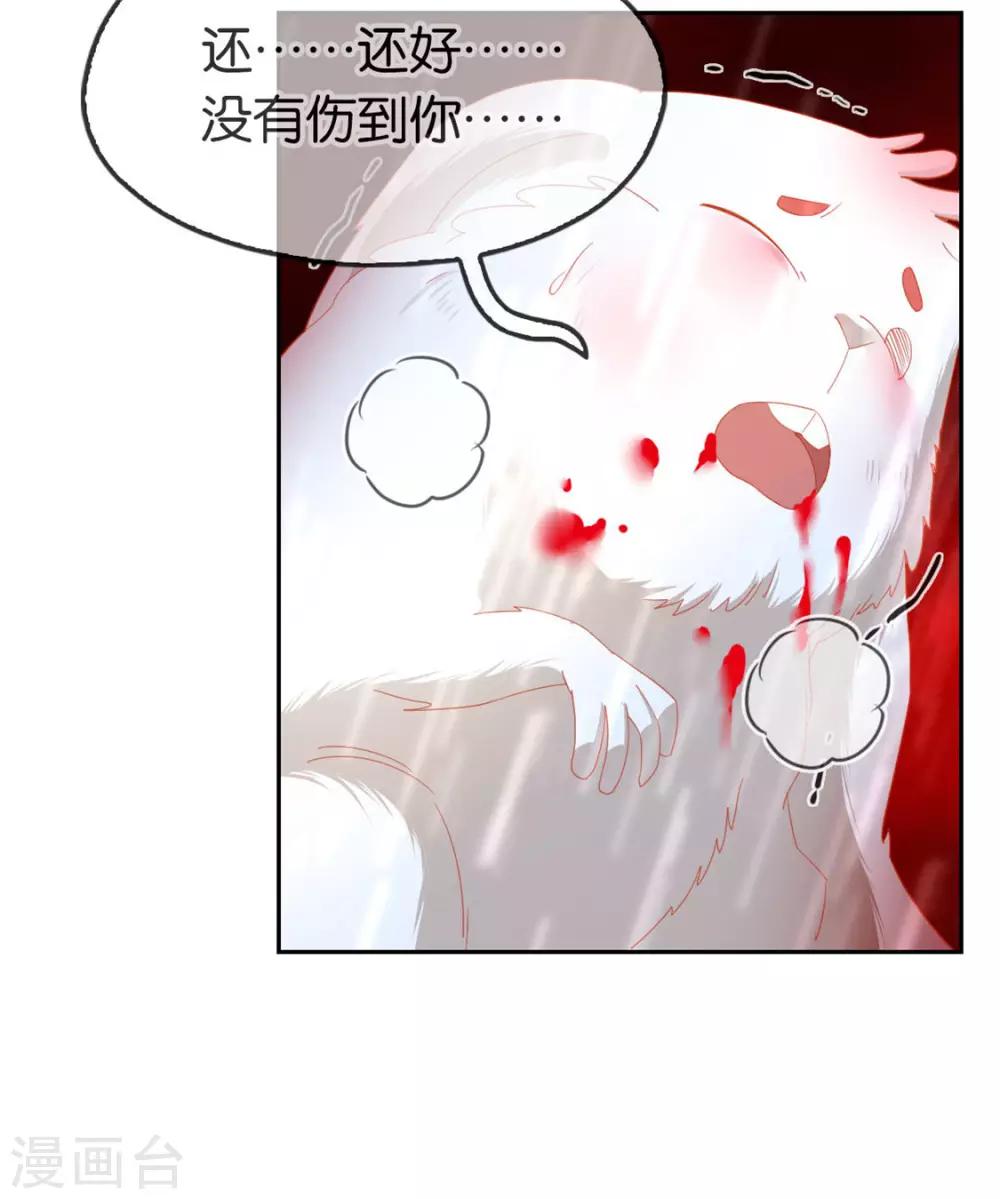 《倾城狂妃》漫画最新章节第59话免费下拉式在线观看章节第【41】张图片