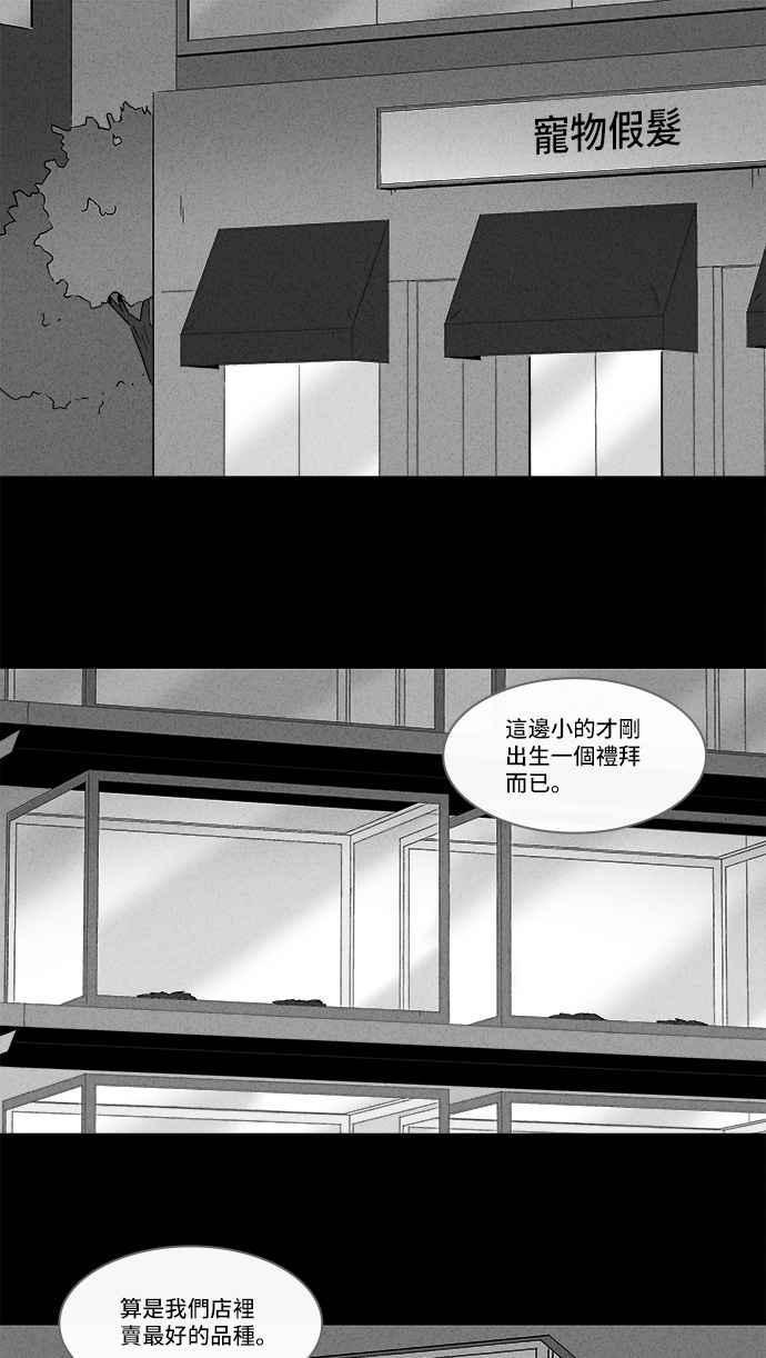 奇奇怪怪-[第156话] 魔血草 1全彩韩漫标签