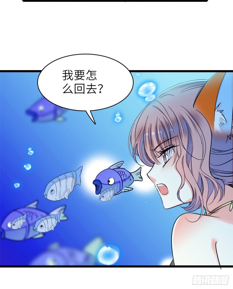 《全网都是我和影帝CP粉》漫画最新章节056 和鱼头汤二人世界？！免费下拉式在线观看章节第【51】张图片