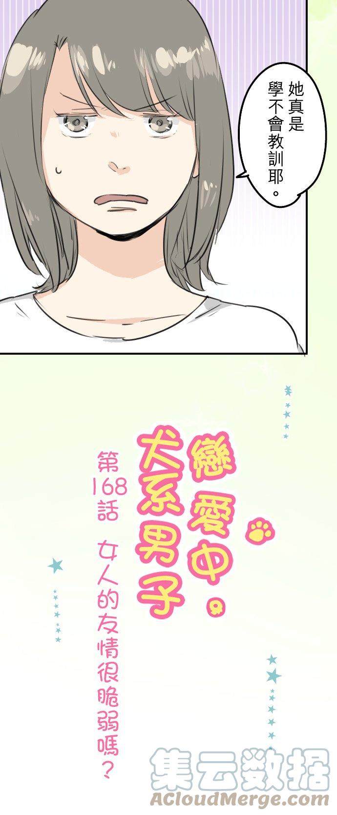 《犬系男子恋爱中》漫画最新章节第168话 女人的友情很脆弱吗？免费下拉式在线观看章节第【5】张图片