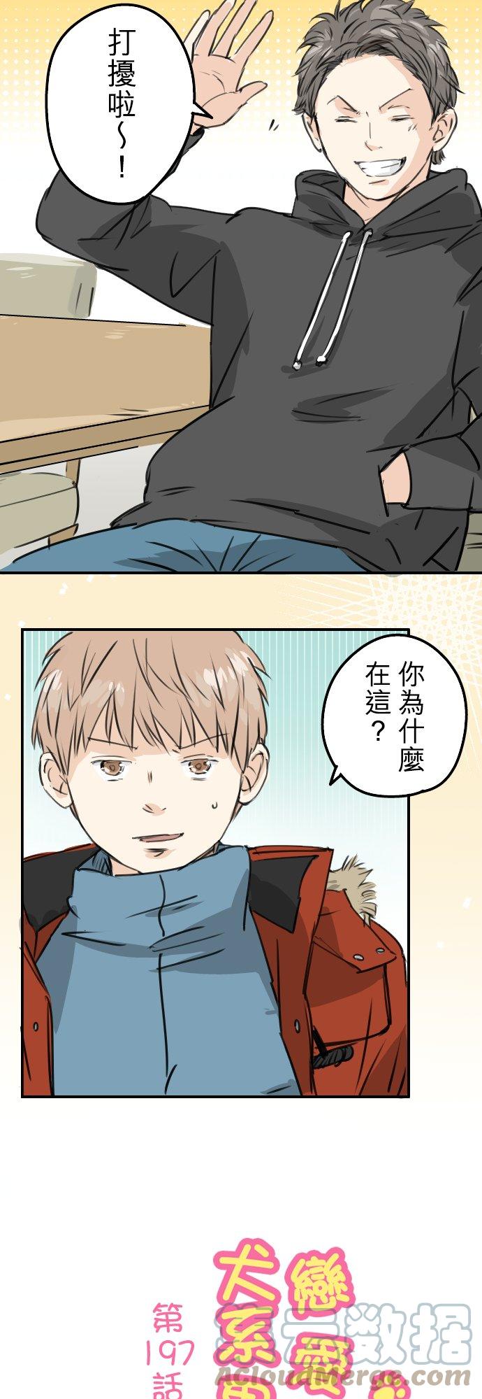 《犬系男子恋爱中》漫画最新章节第197话 好像是又好像不是免费下拉式在线观看章节第【3】张图片