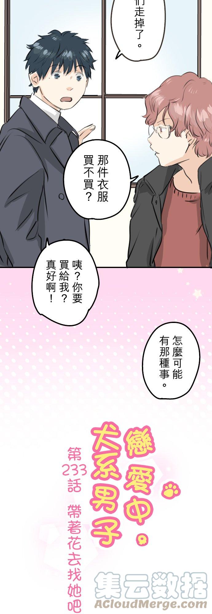 《犬系男子恋爱中》漫画最新章节第233话 带着花去找她吧免费下拉式在线观看章节第【5】张图片