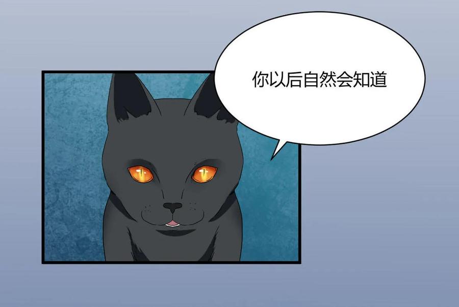 《人鱼公主》漫画最新章节第87话 猫妖免费下拉式在线观看章节第【18】张图片