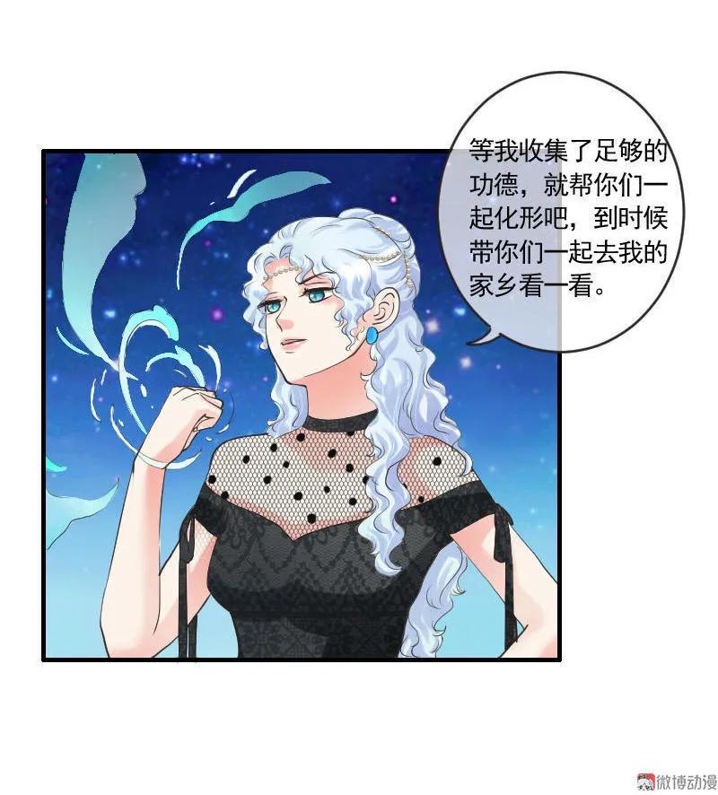 《人鱼公主》漫画最新章节第91章 功德和龙珠免费下拉式在线观看章节第【17】张图片