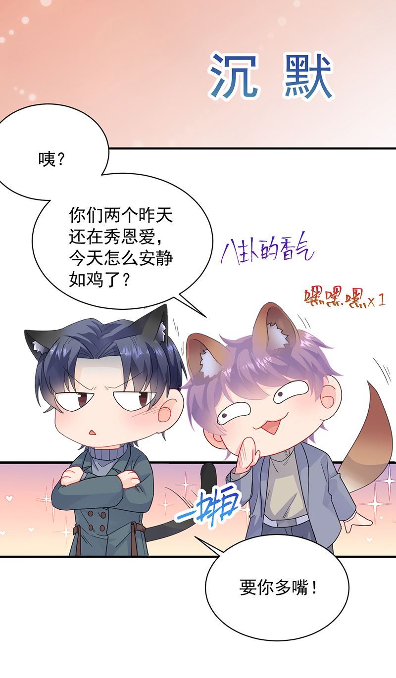 《惹上首席BOSS之千金归来》漫画最新章节这里的戒指随便你挑免费下拉式在线观看章节第【31】张图片