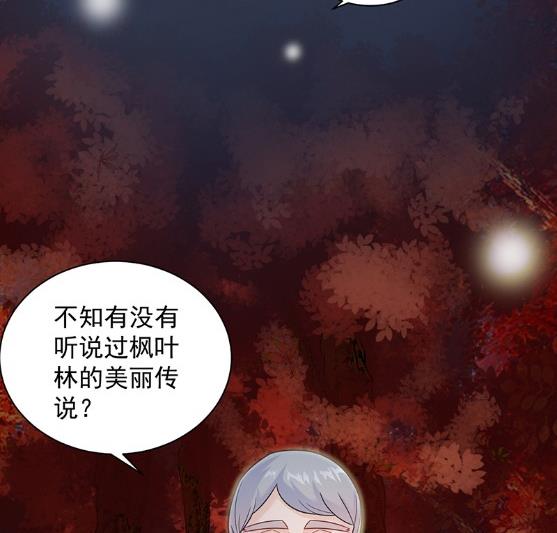 《惹上首席BOSS之千金归来》漫画最新章节枫叶林的传说免费下拉式在线观看章节第【44】张图片