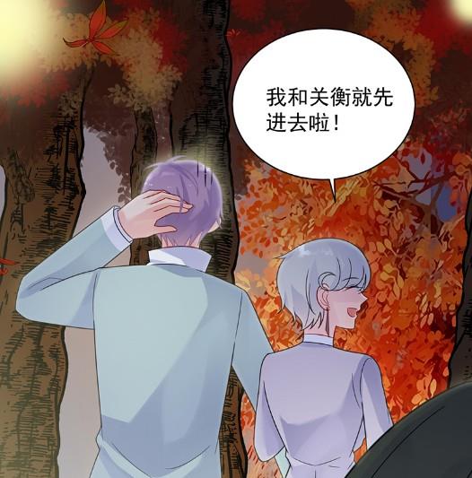 《惹上首席BOSS之千金归来》漫画最新章节枫叶林的传说免费下拉式在线观看章节第【52】张图片