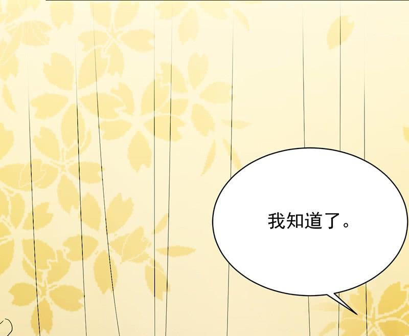 《惹上首席帝少》漫画最新章节第二部第67话 不会丢下你免费下拉式在线观看章节第【31】张图片