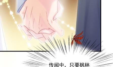 《惹上首席总裁千金归来》漫画最新章节枫叶林的传说免费下拉式在线观看章节第【56】张图片