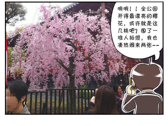 日在日本-170 上野花见会全彩韩漫标签