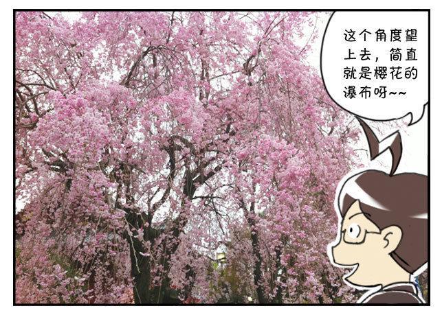 日在日本-170 上野花见会全彩韩漫标签