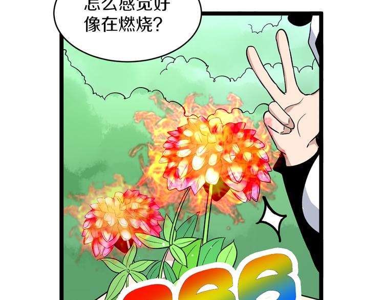 《三界淘宝店》漫画最新章节第151话 稀世灵花免费下拉式在线观看章节第【12】张图片