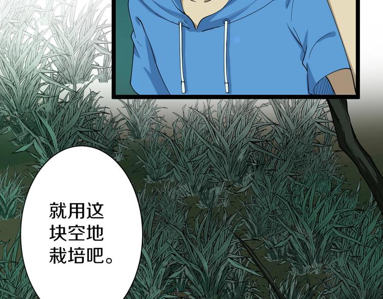 《三界淘宝店》漫画最新章节第30话 埋龙谷免费下拉式在线观看章节第【33】张图片