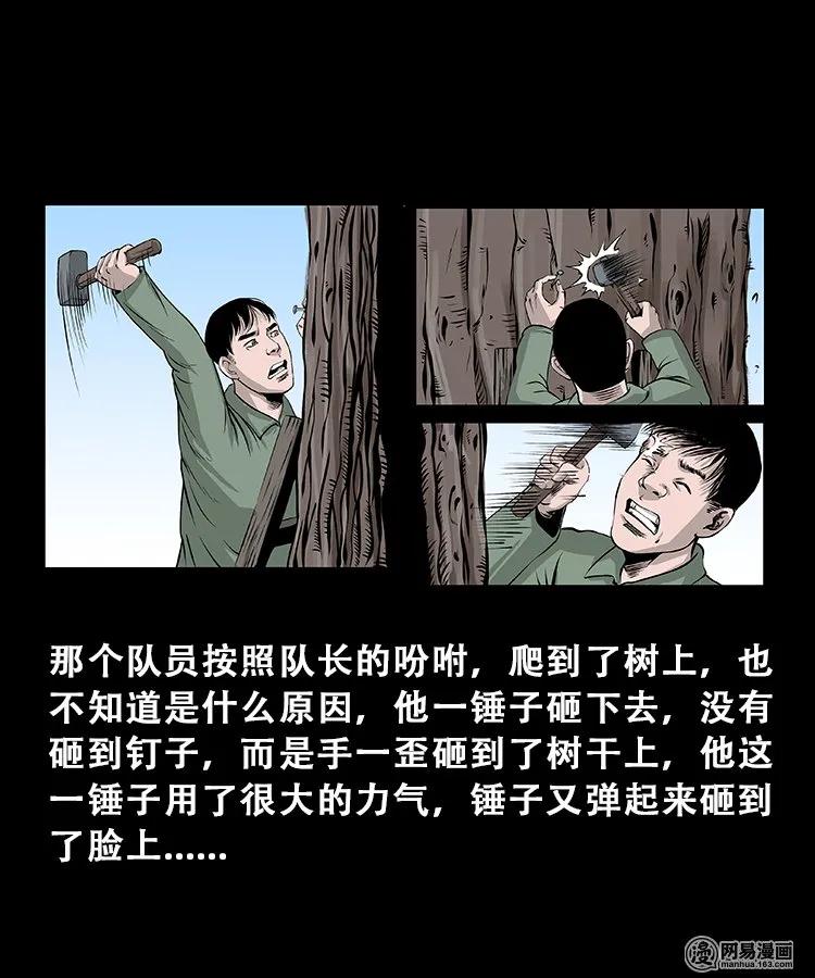 《三老爷惊奇手札》漫画最新章节104 邪树免费下拉式在线观看章节第【11】张图片