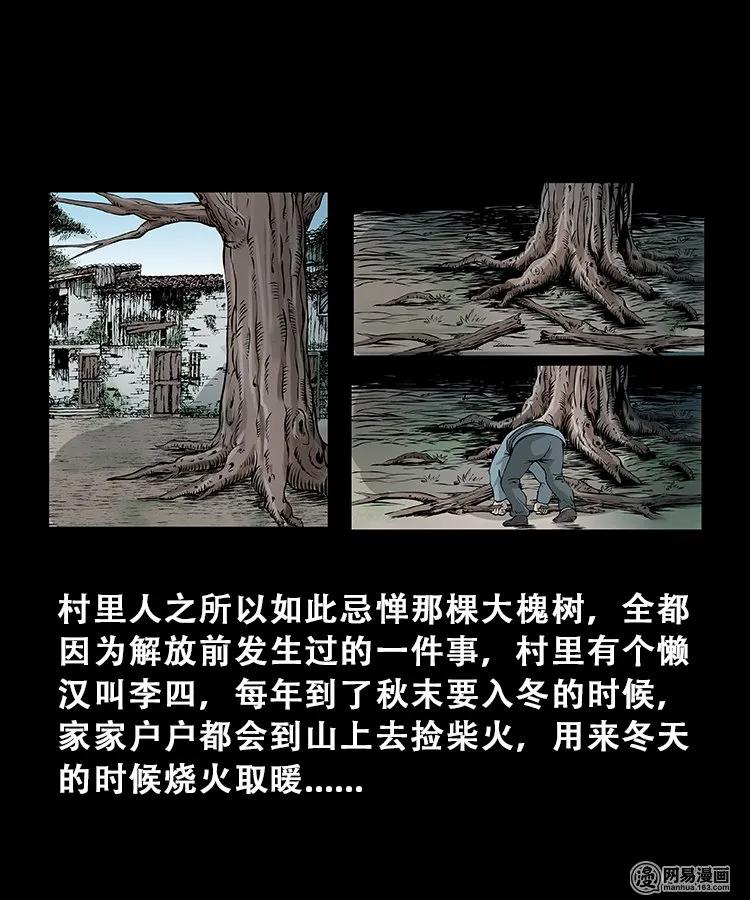 《三老爷惊奇手札》漫画最新章节104 邪树免费下拉式在线观看章节第【14】张图片