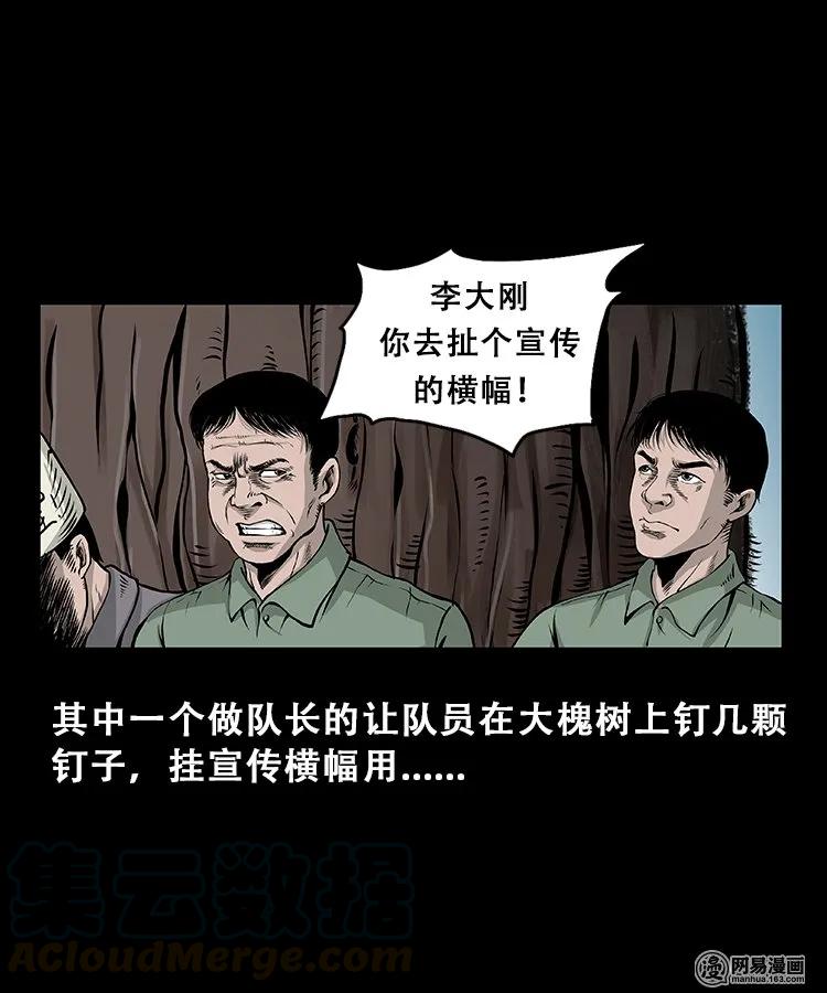 《三老爷惊奇手札》漫画最新章节104 邪树免费下拉式在线观看章节第【7】张图片