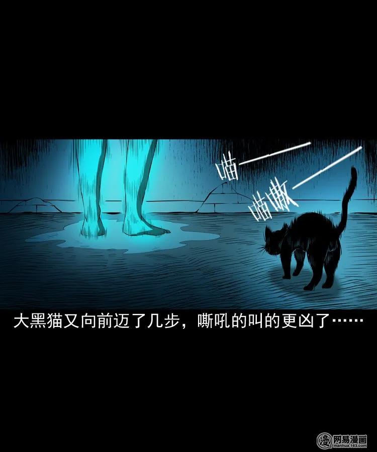 《三老爷惊奇手札》漫画最新章节157 伙伴免费下拉式在线观看章节第【64】张图片