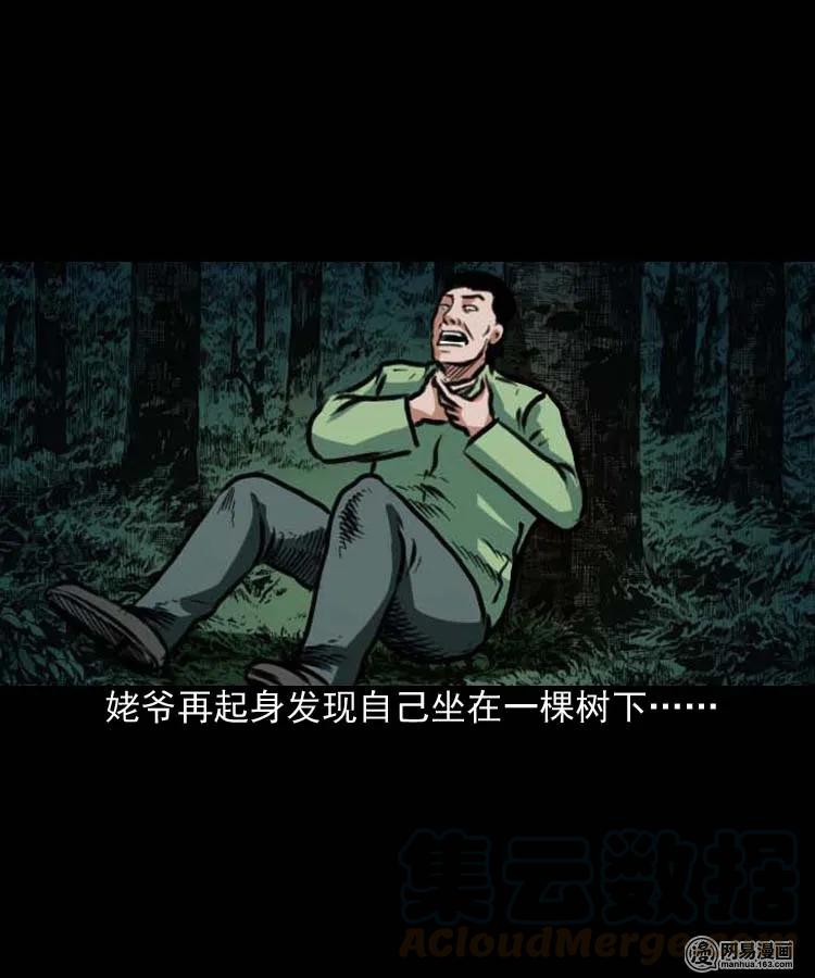 《三老爷惊奇手札》漫画最新章节194 走夜路免费下拉式在线观看章节第【41】张图片