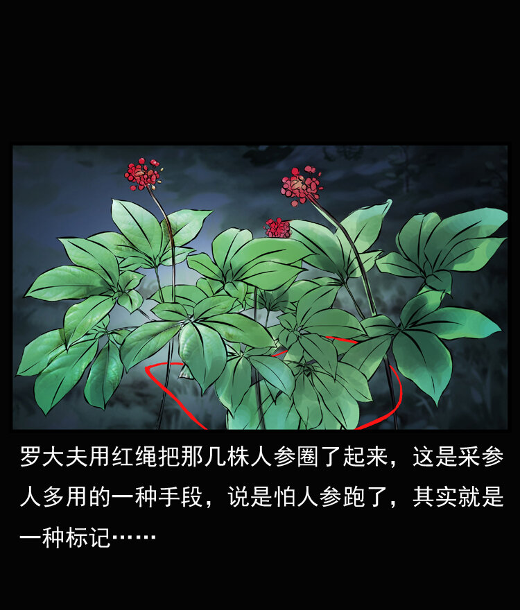 《三老爷惊奇手札》漫画最新章节23 赤脚医生行善得宝免费下拉式在线观看章节第【78】张图片