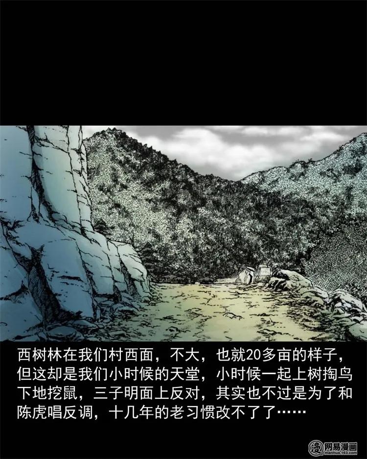 《三老爷惊奇手札》漫画最新章节228 林中诡事免费下拉式在线观看章节第【8】张图片