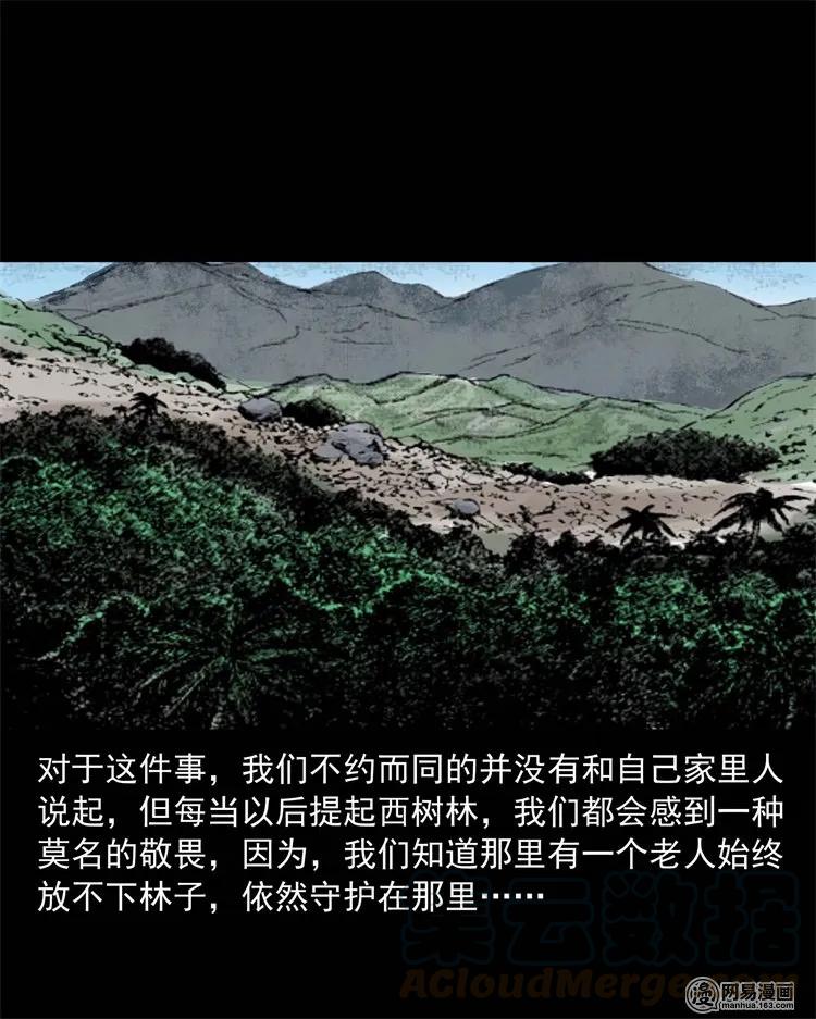 《三老爷惊奇手札》漫画最新章节228 林中诡事免费下拉式在线观看章节第【81】张图片