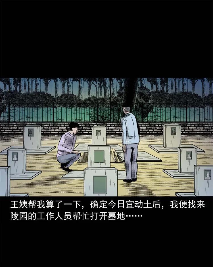 《三老爷惊奇手札》漫画最新章节269 抱错骨灰盒免费下拉式在线观看章节第【67】张图片