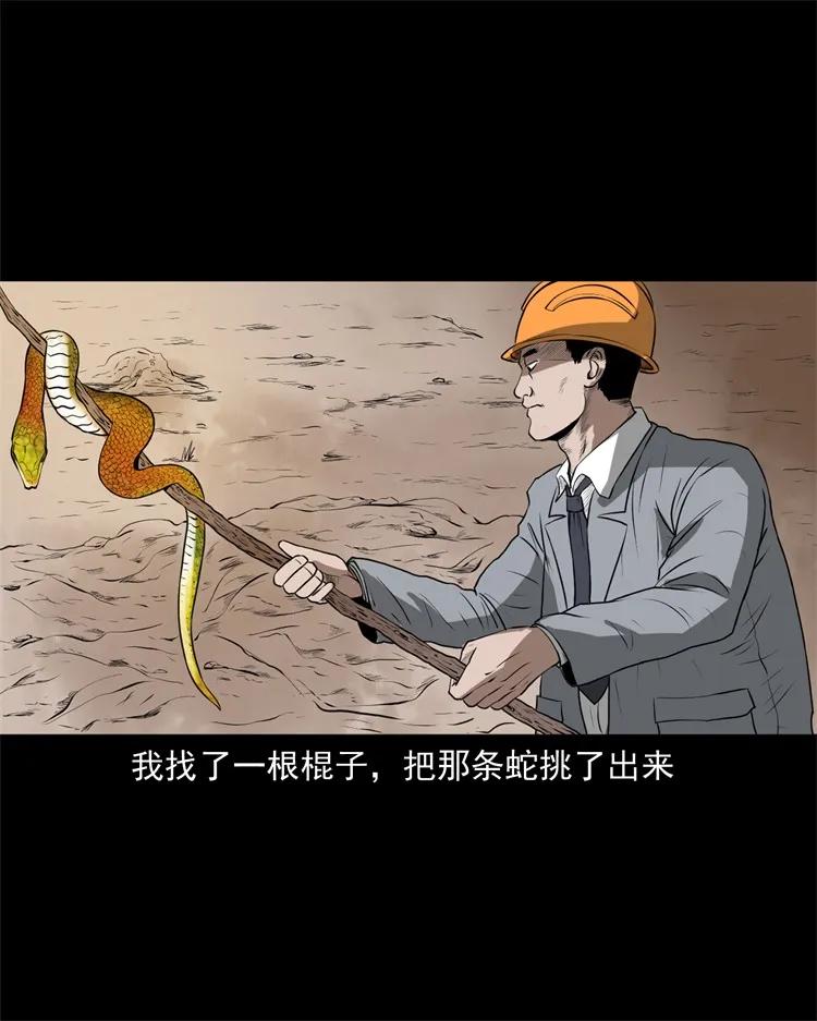 《三老爷惊奇手札》漫画最新章节270 善报免费下拉式在线观看章节第【26】张图片