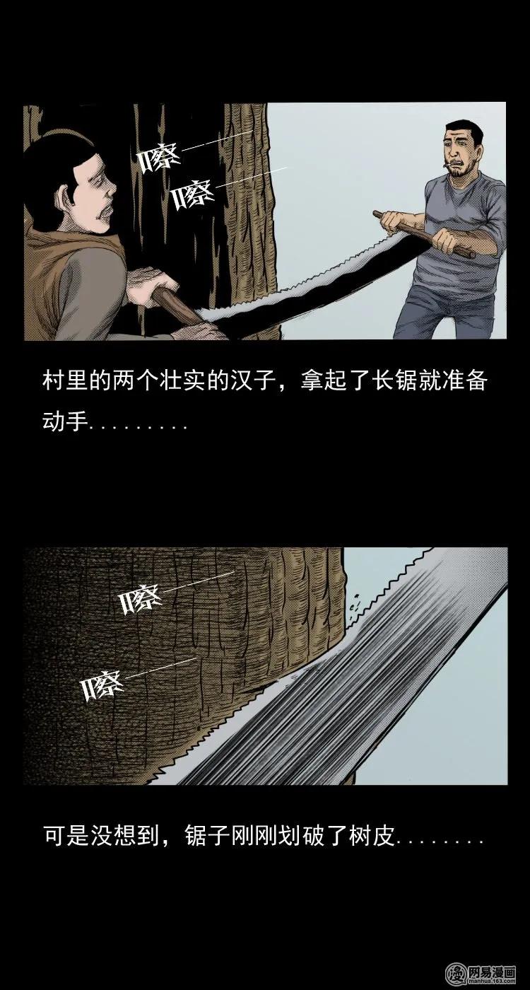 《三老爷惊奇手札》漫画最新章节29 古树免费下拉式在线观看章节第【14】张图片