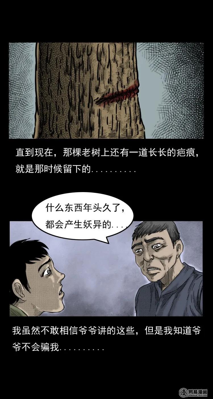 《三老爷惊奇手札》漫画最新章节29 古树免费下拉式在线观看章节第【17】张图片